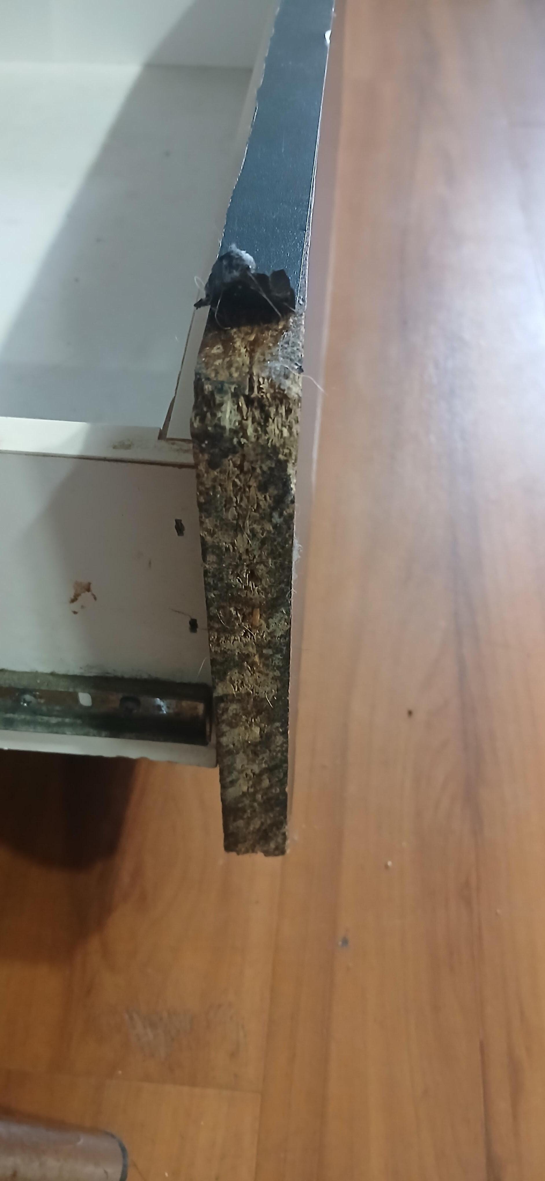 Damaged Cabinet
