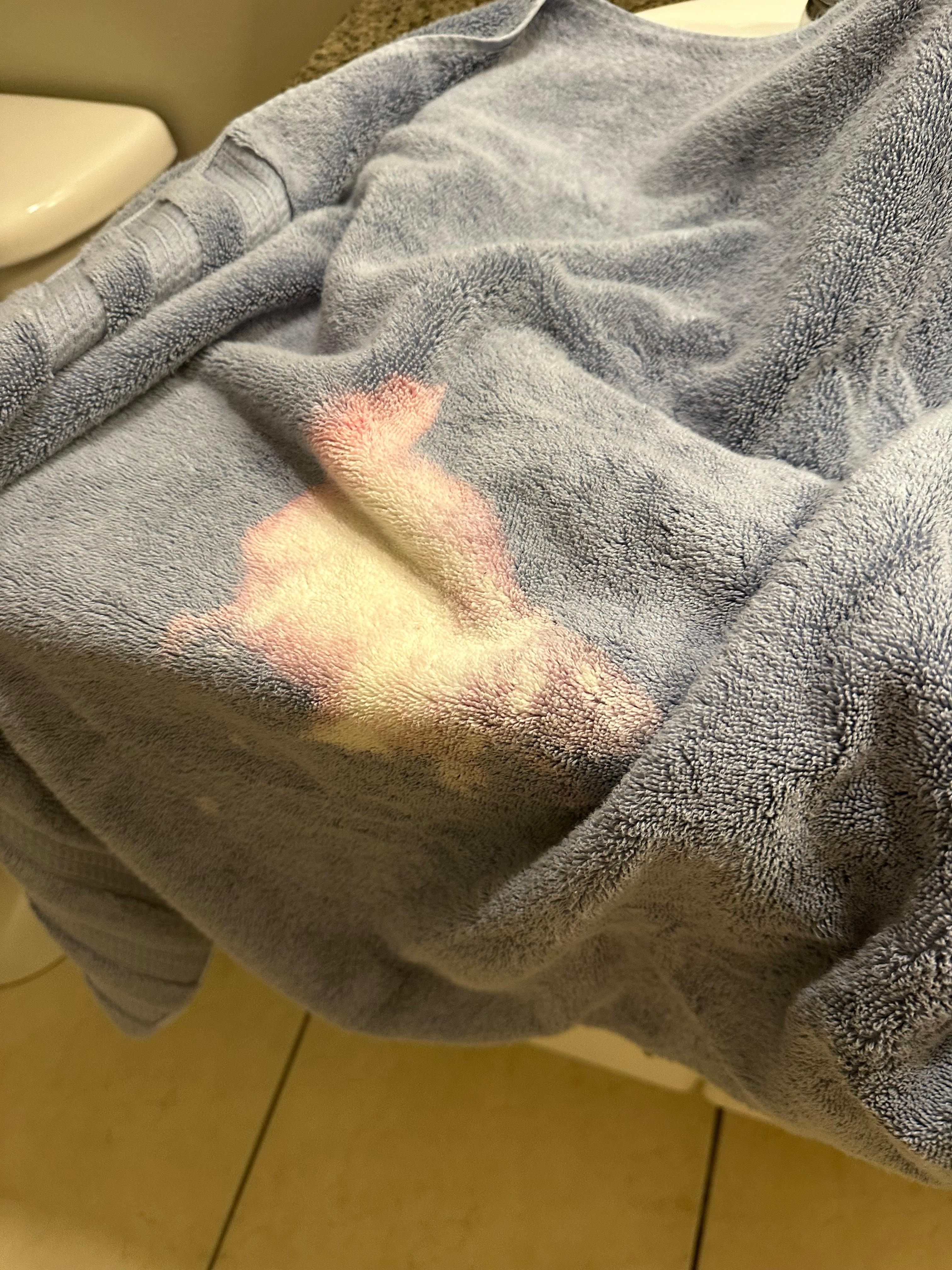 Bleach Towel Gross