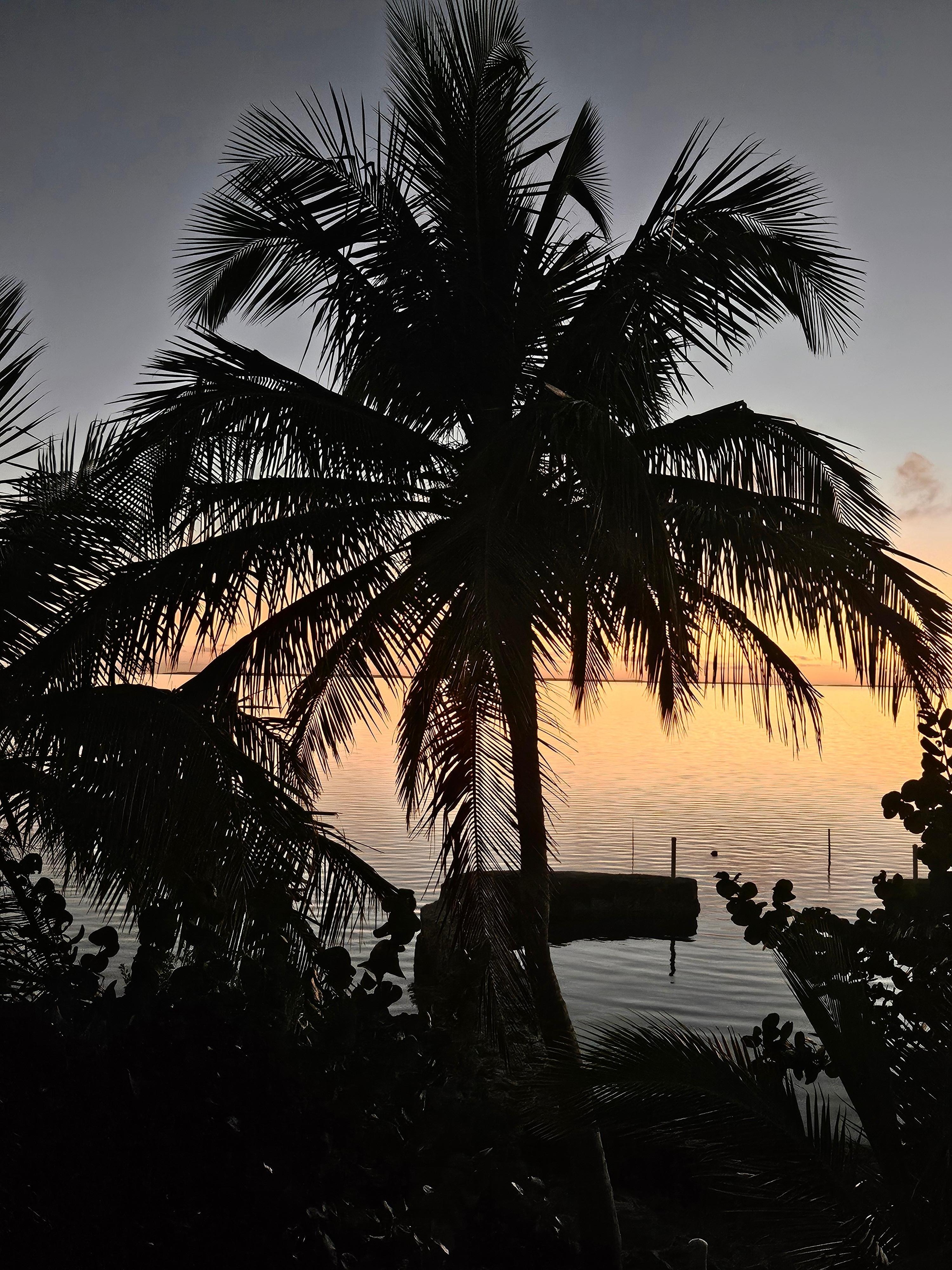 The view from the porch at sunset. 