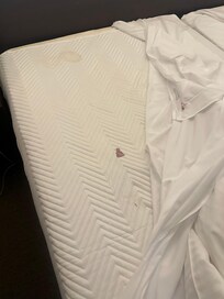 Blood on bedding