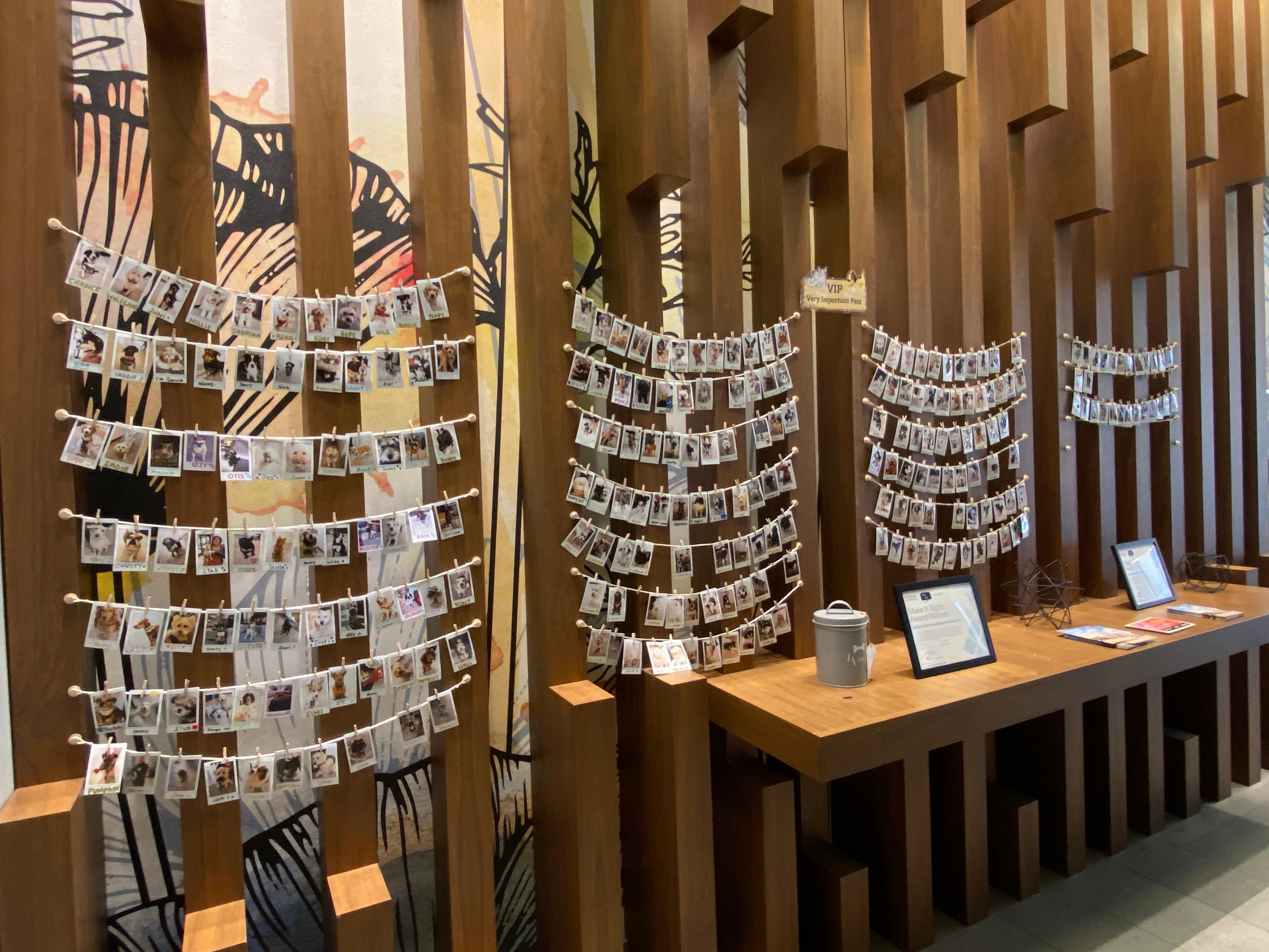 Wall of Very Important Pets - waterbowl and treats provided by hotel. 