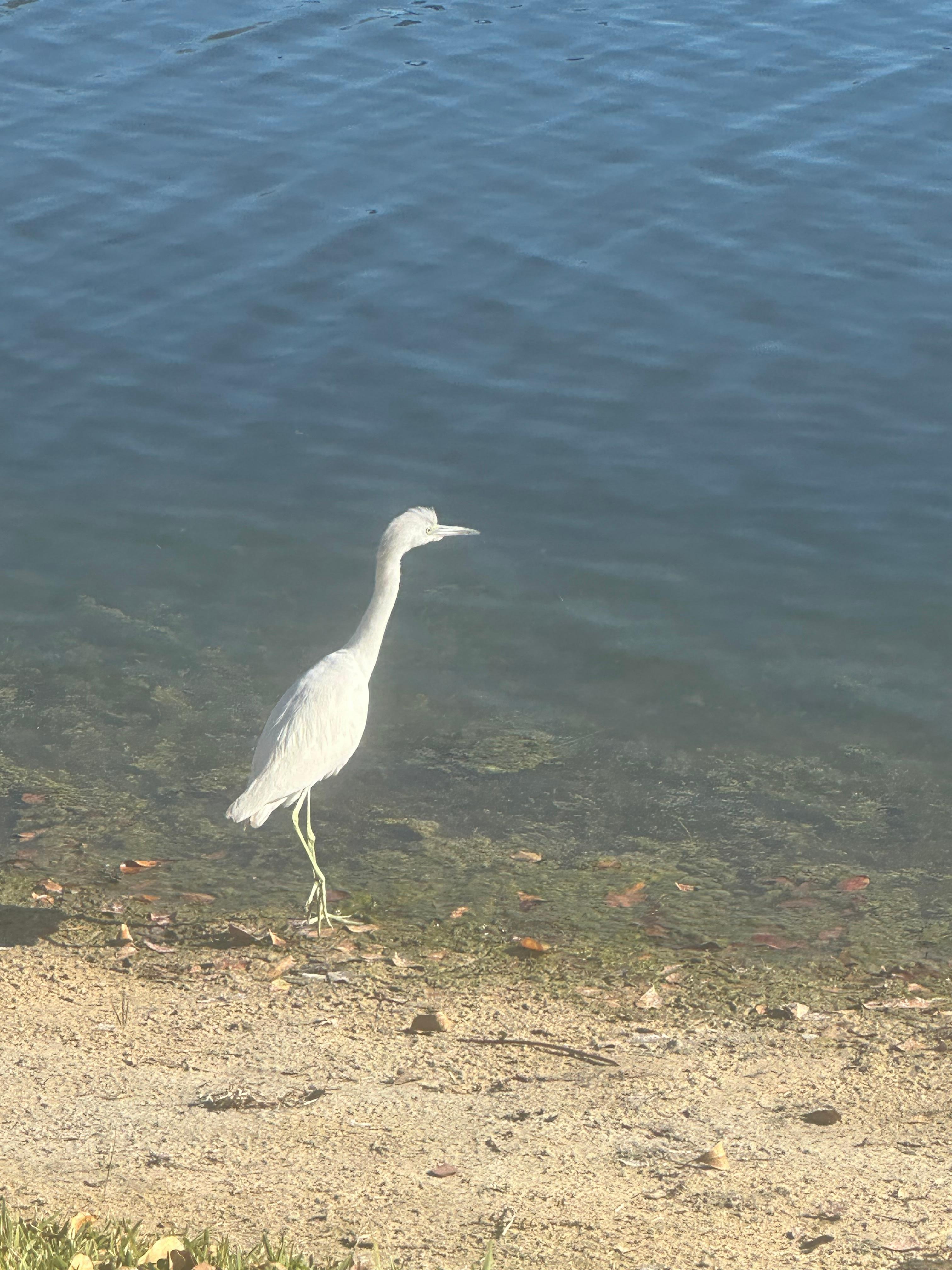Enjoying the wildlife at the park.