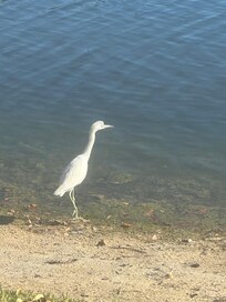 Enjoying the wildlife at the park.