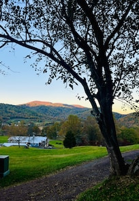 View from the HillTop lodge