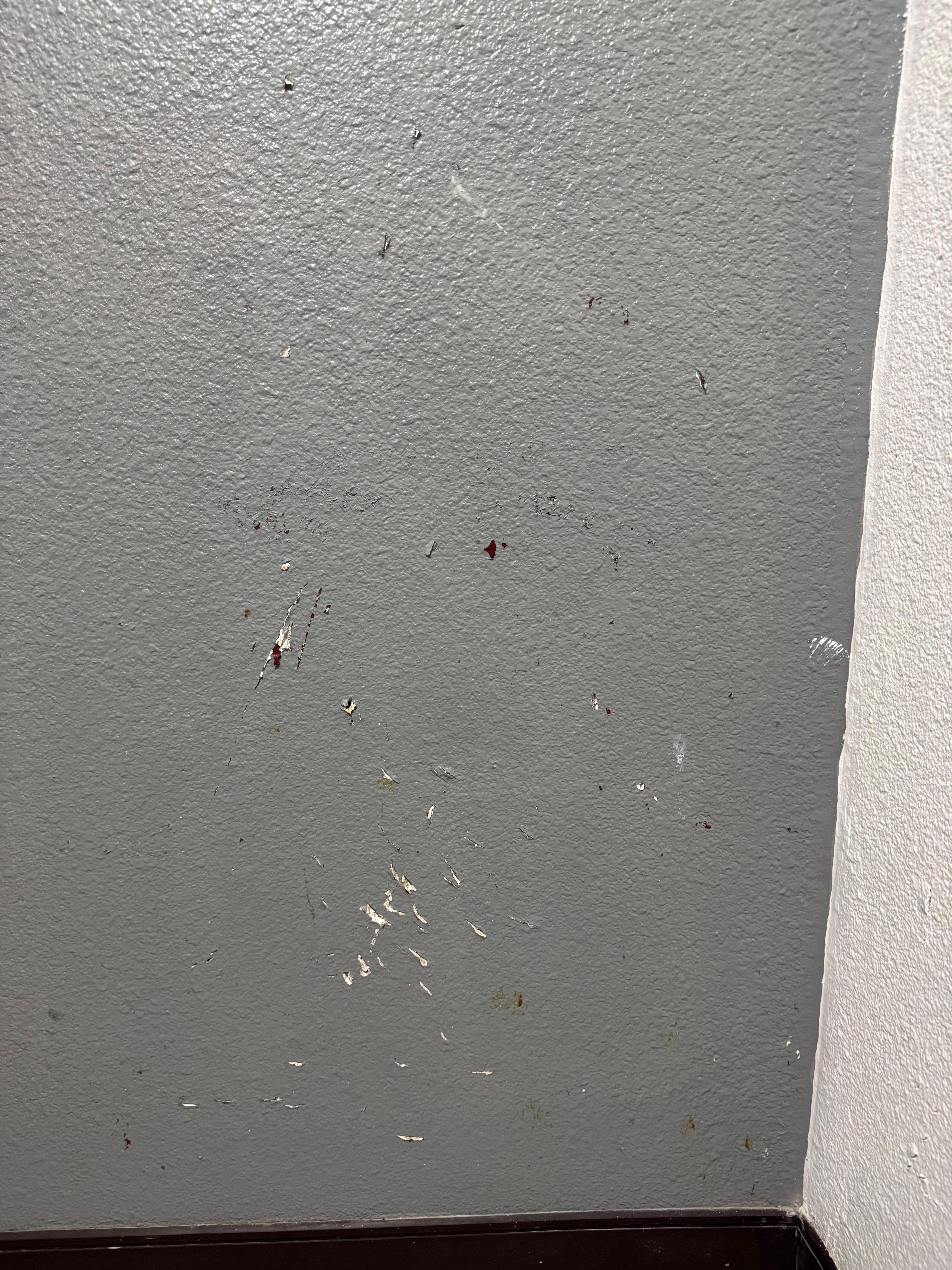 The wall in our room