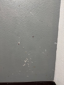 The wall in our room