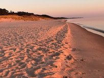 Short drive to Lake MI