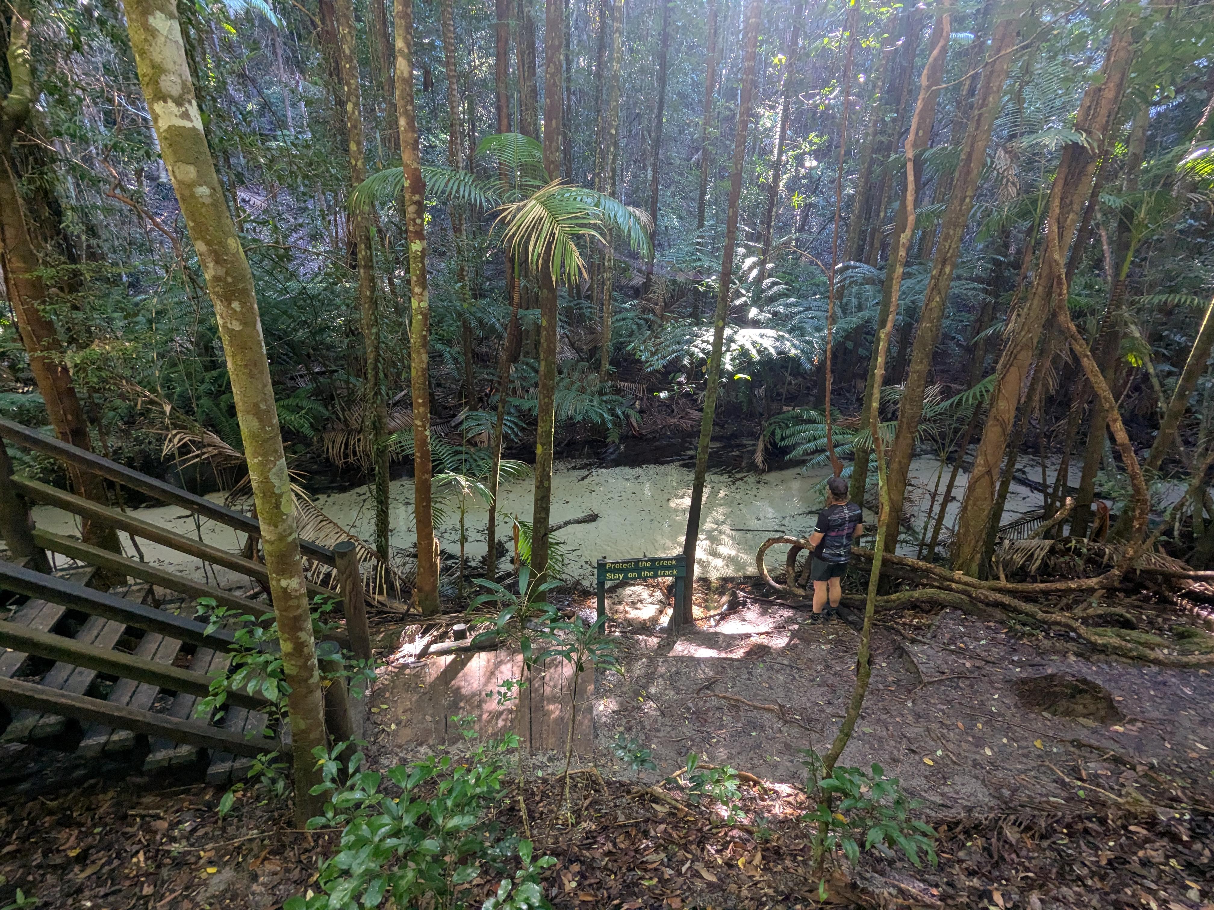 Clear water creek at Central Station 