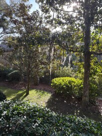 Lovely back porch view!