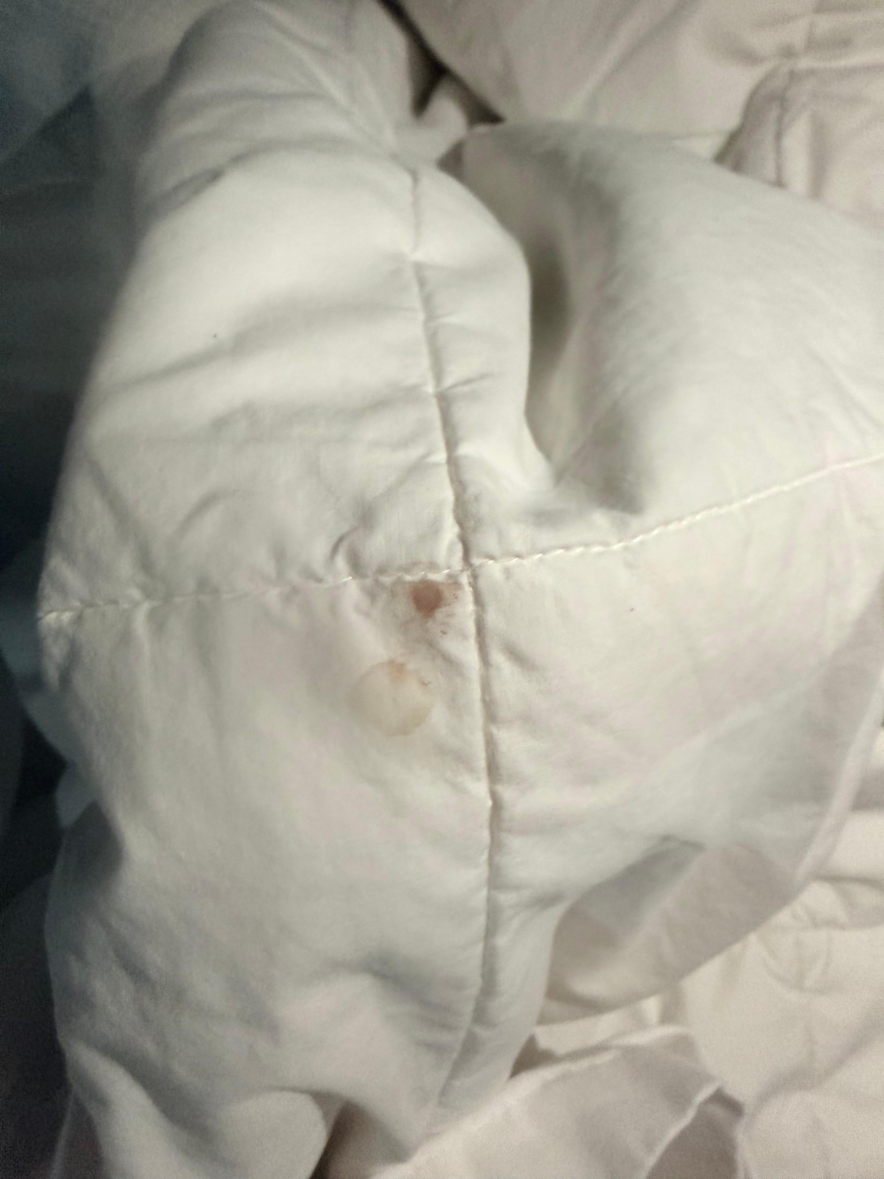 Brown stain on blanket