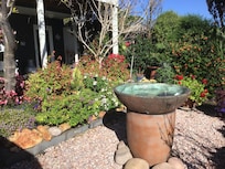 A charming front area , full of colour.
And well cared for.