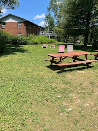 Beautiful yard