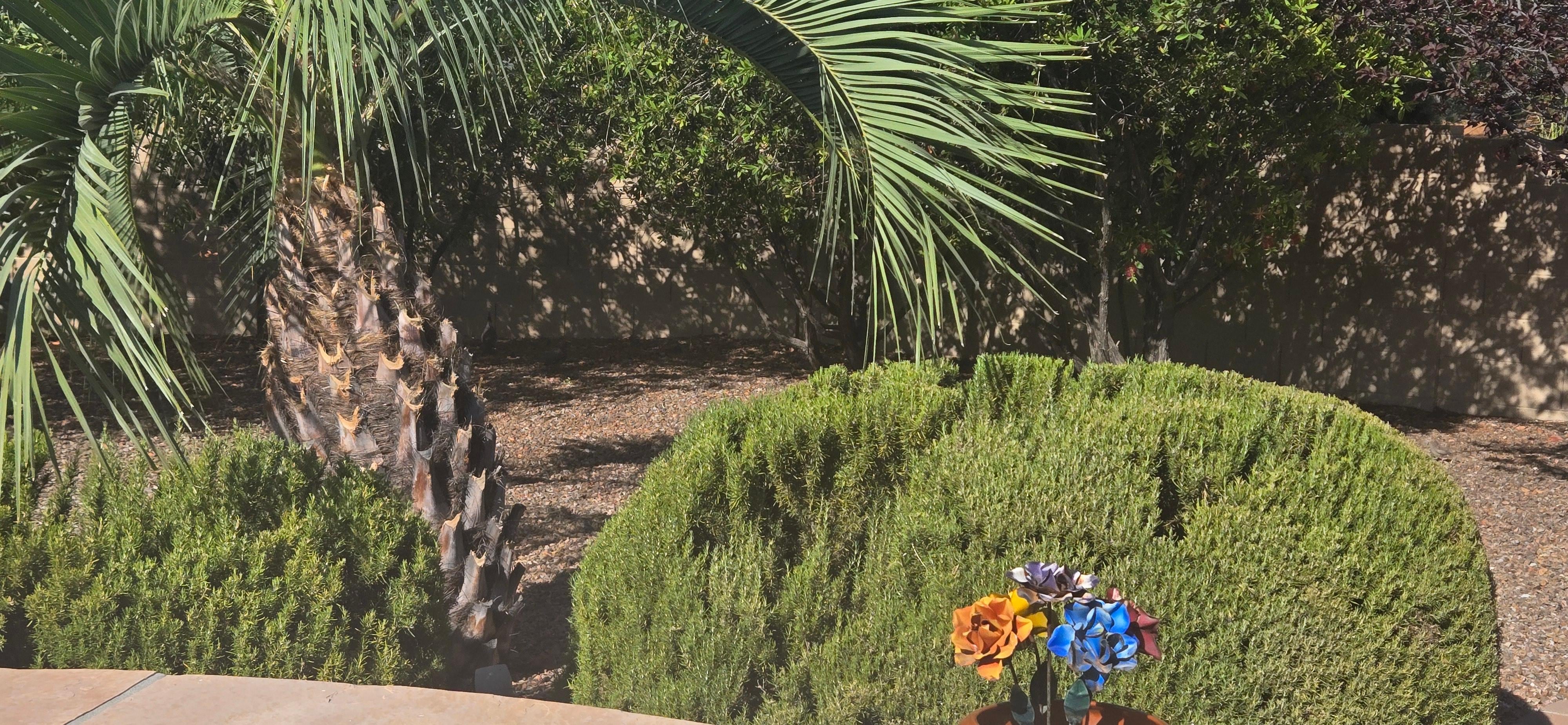 Back patio with grill! 