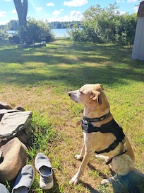 Peaceful