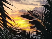 View from the balcony