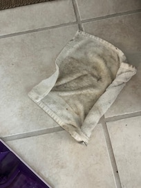 After wiping floors downstairs