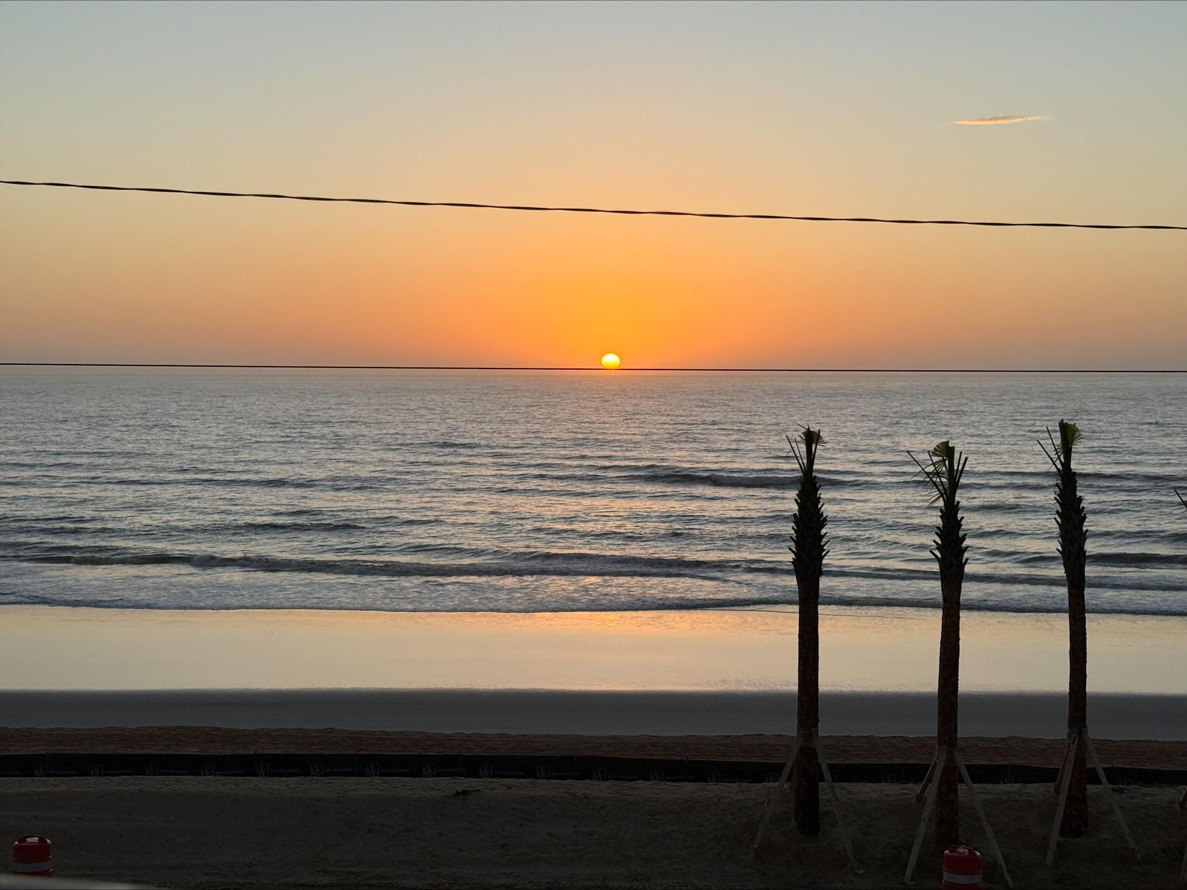 Sunrise from the balcony, with the newly planted palm trees.