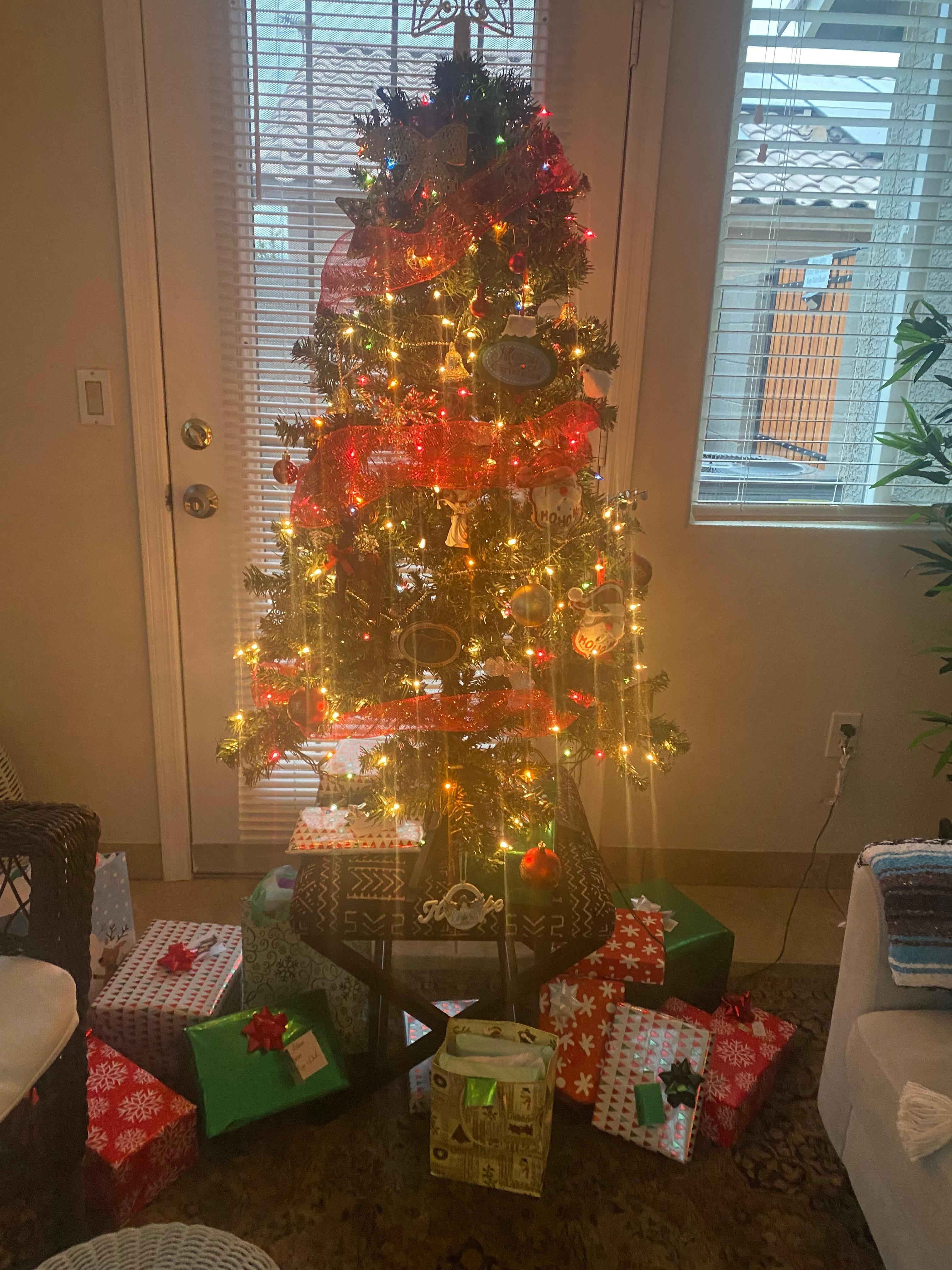 Bringing Christmas from home. The grandkids had a great time when they came over to visit. 