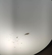It did finally die in the light.