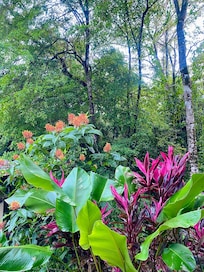 Along steps leading to casita