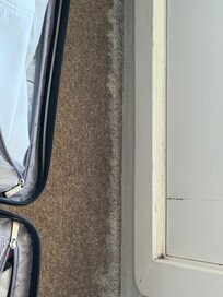 Water damaged carpet