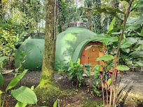 Cute lil dome in the jungle