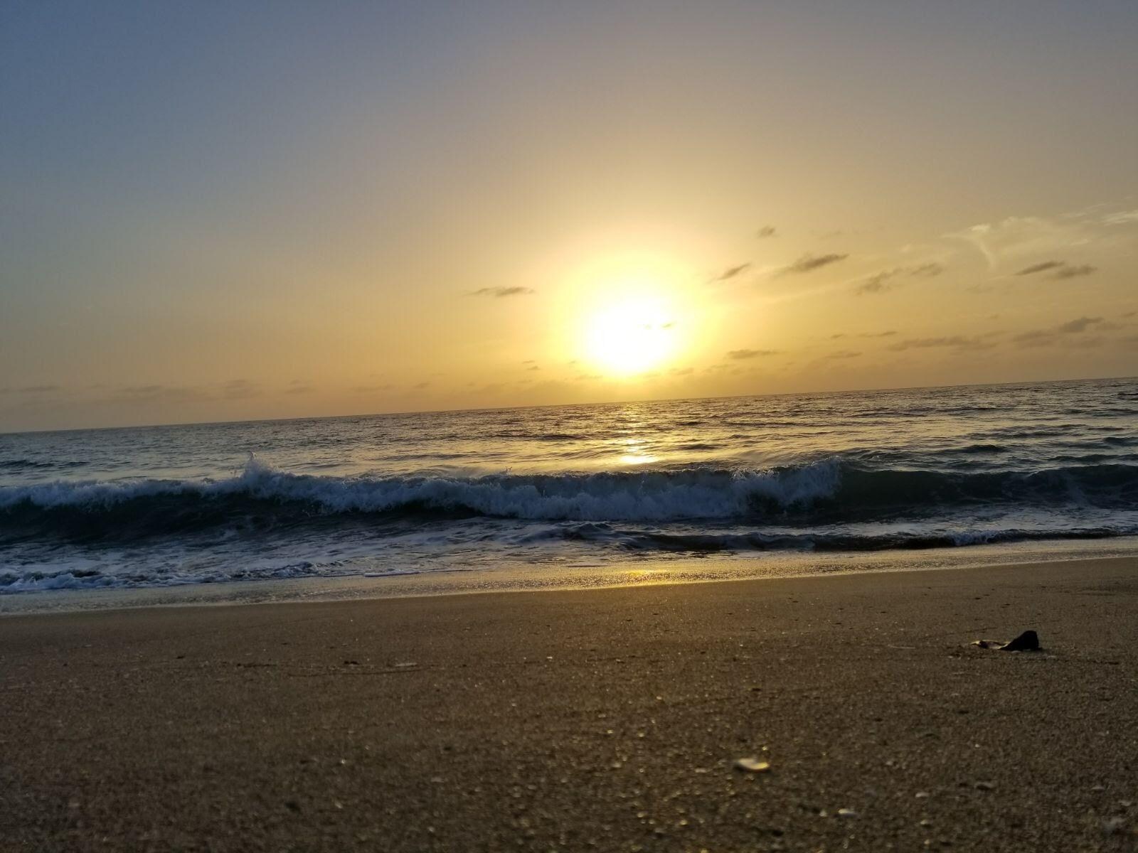 Refugee Beach