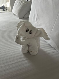 House keeping cuteness