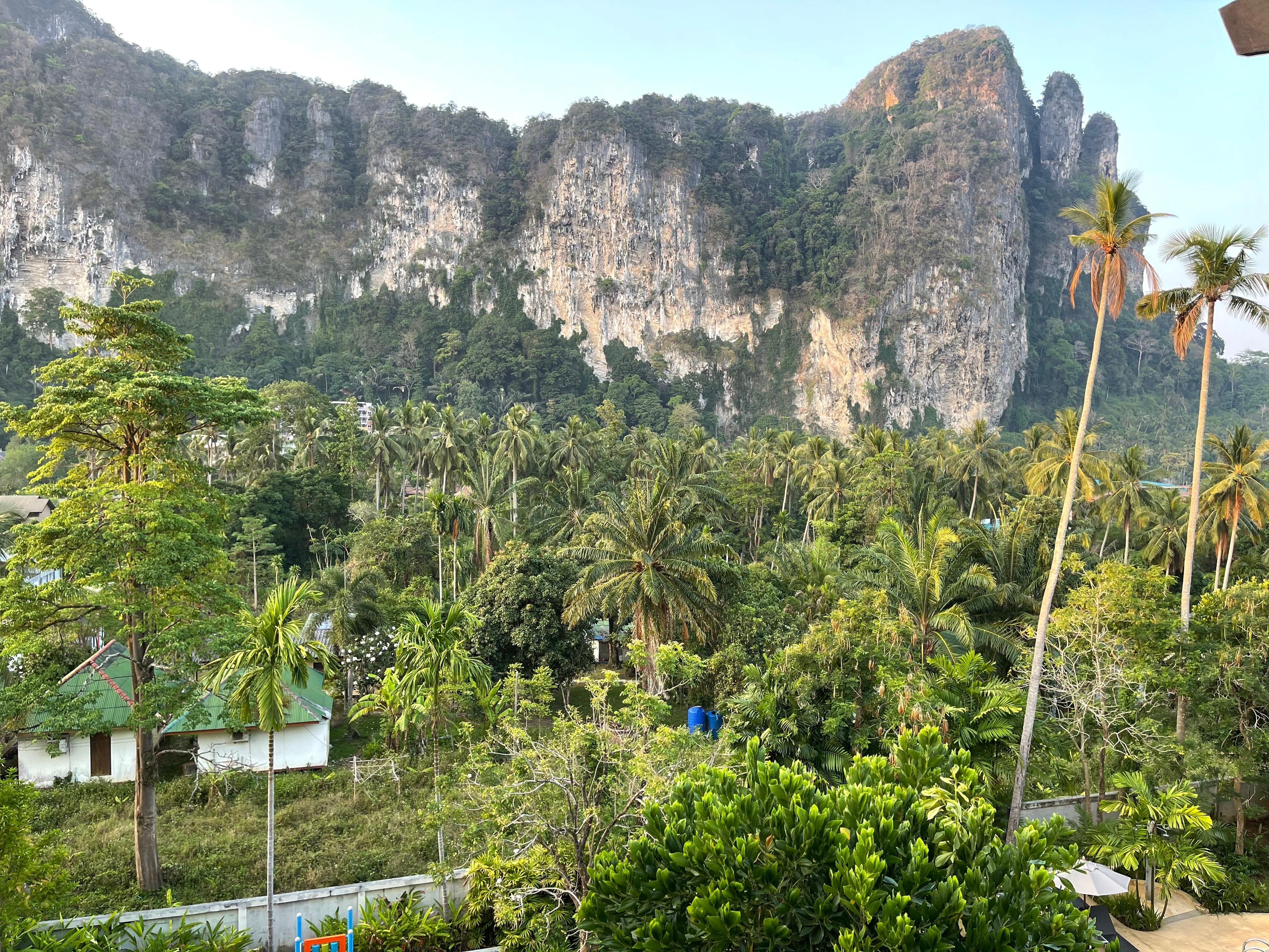 View from my room