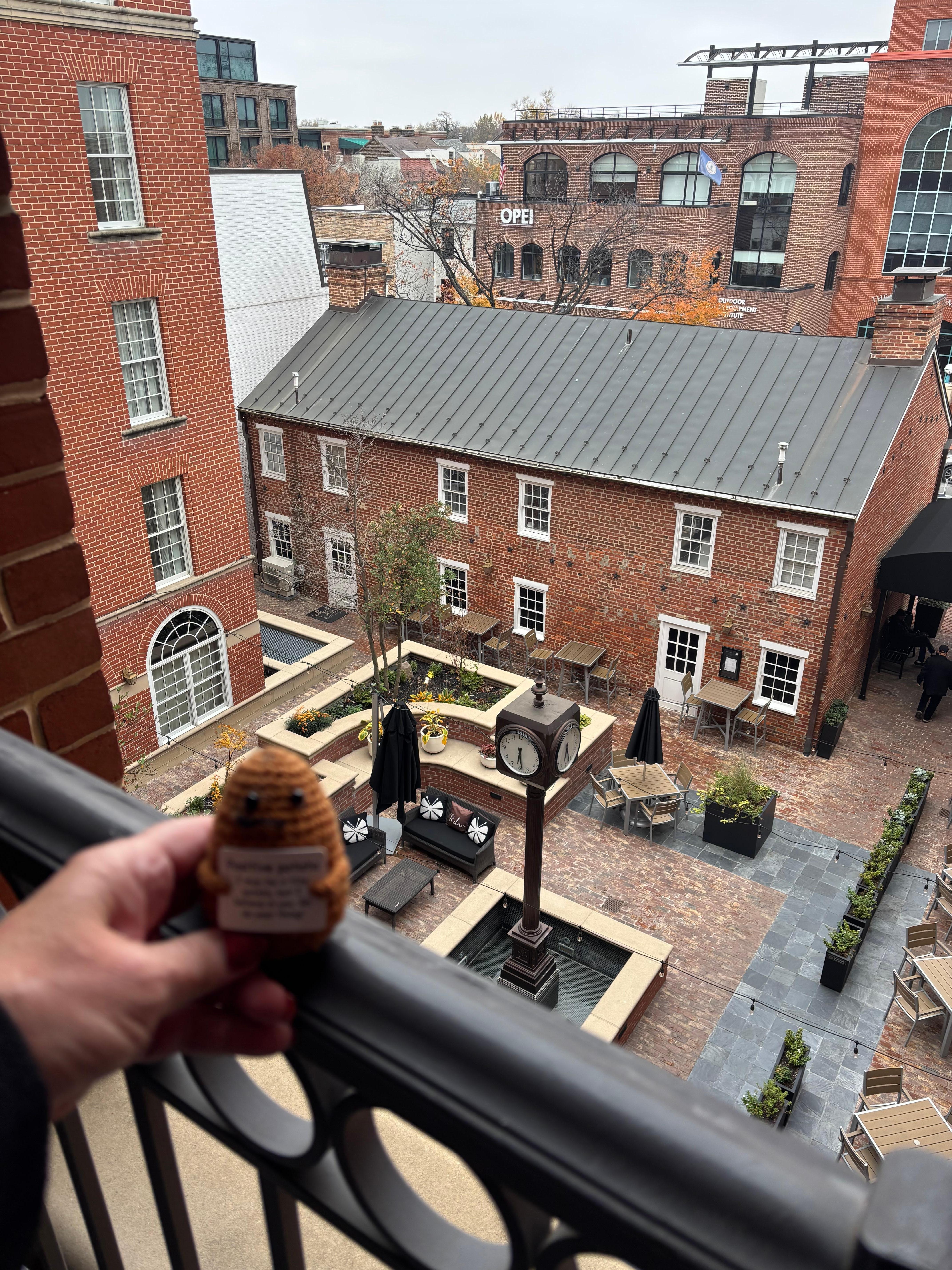 This is the the view from our balcony room and excuse the little positive potato. He’s my travel, buddy.