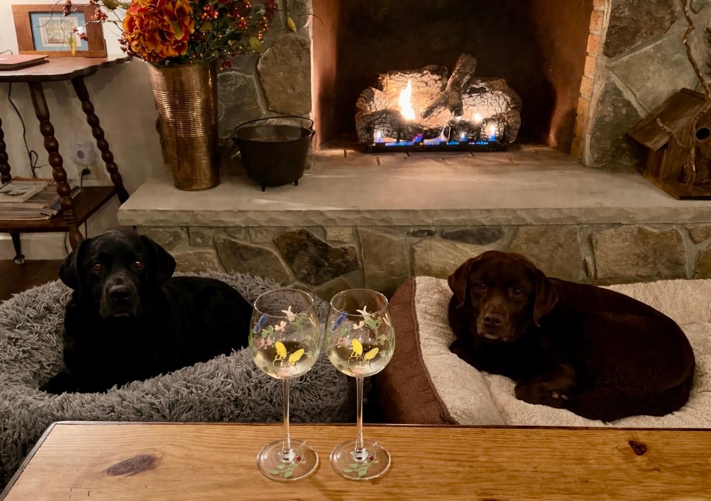 Our favorite amenity was that it was dog friendly!