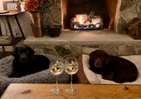 Our favorite amenity was that it was dog friendly!