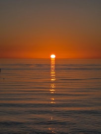 Venice Beach was nice and only a short drive (about 2 miles) from house.