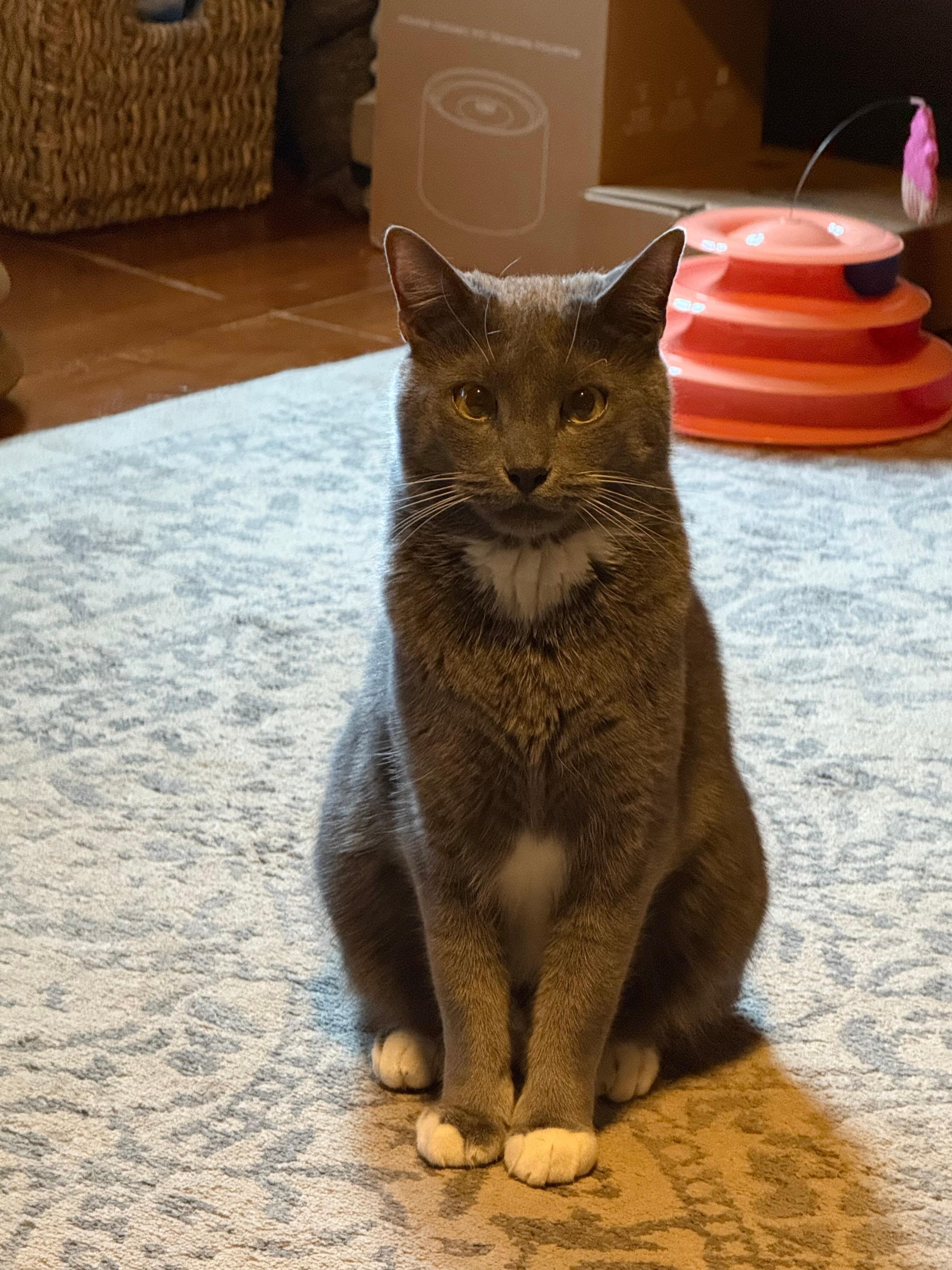 Charlie 
