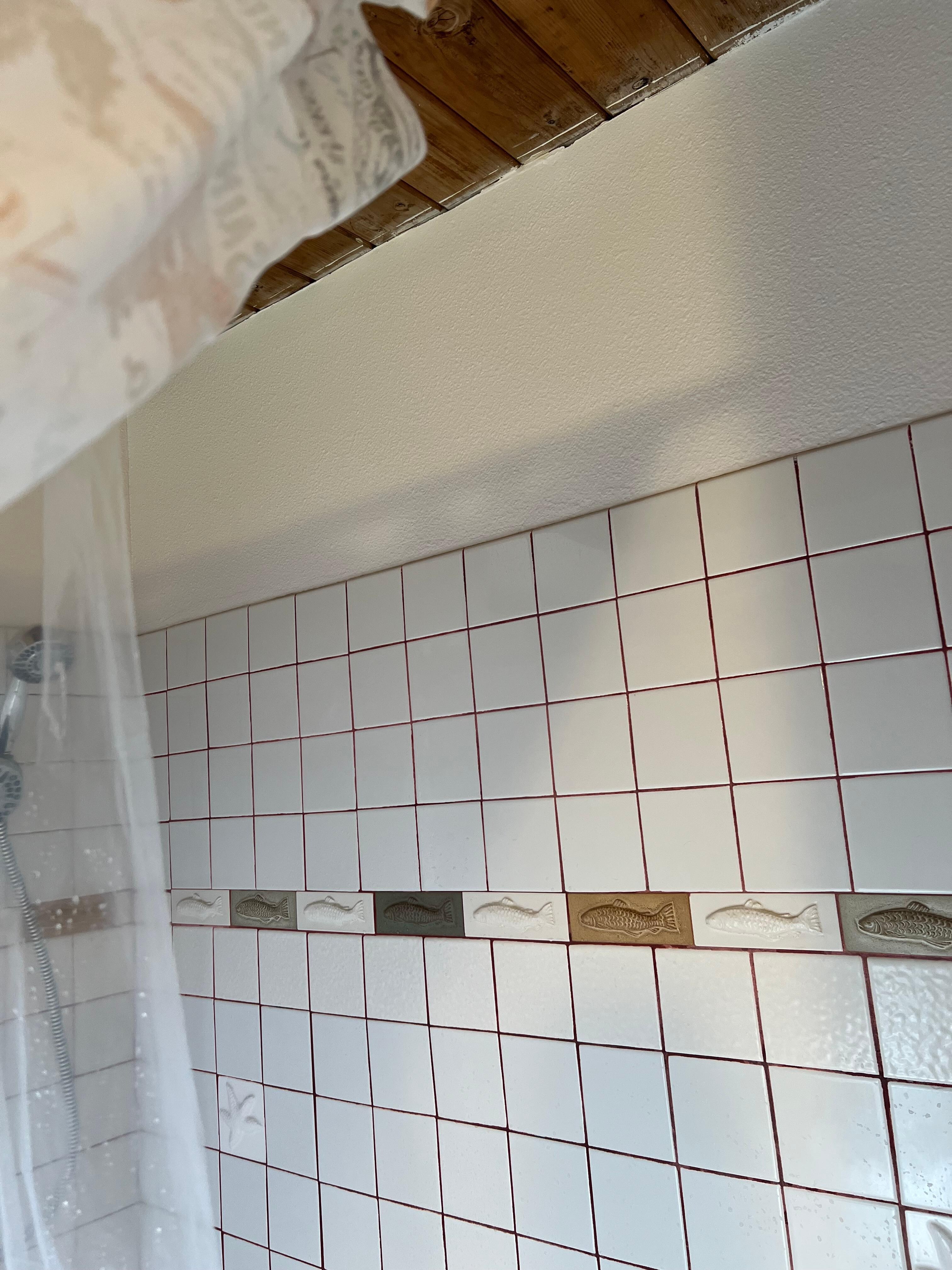 Shower curtain liner did not cover the entire opening of the shower
