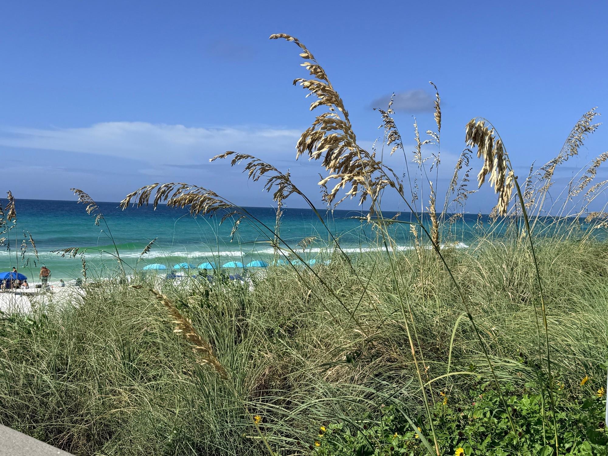 Beach view from the top of the steps going out to the beach.