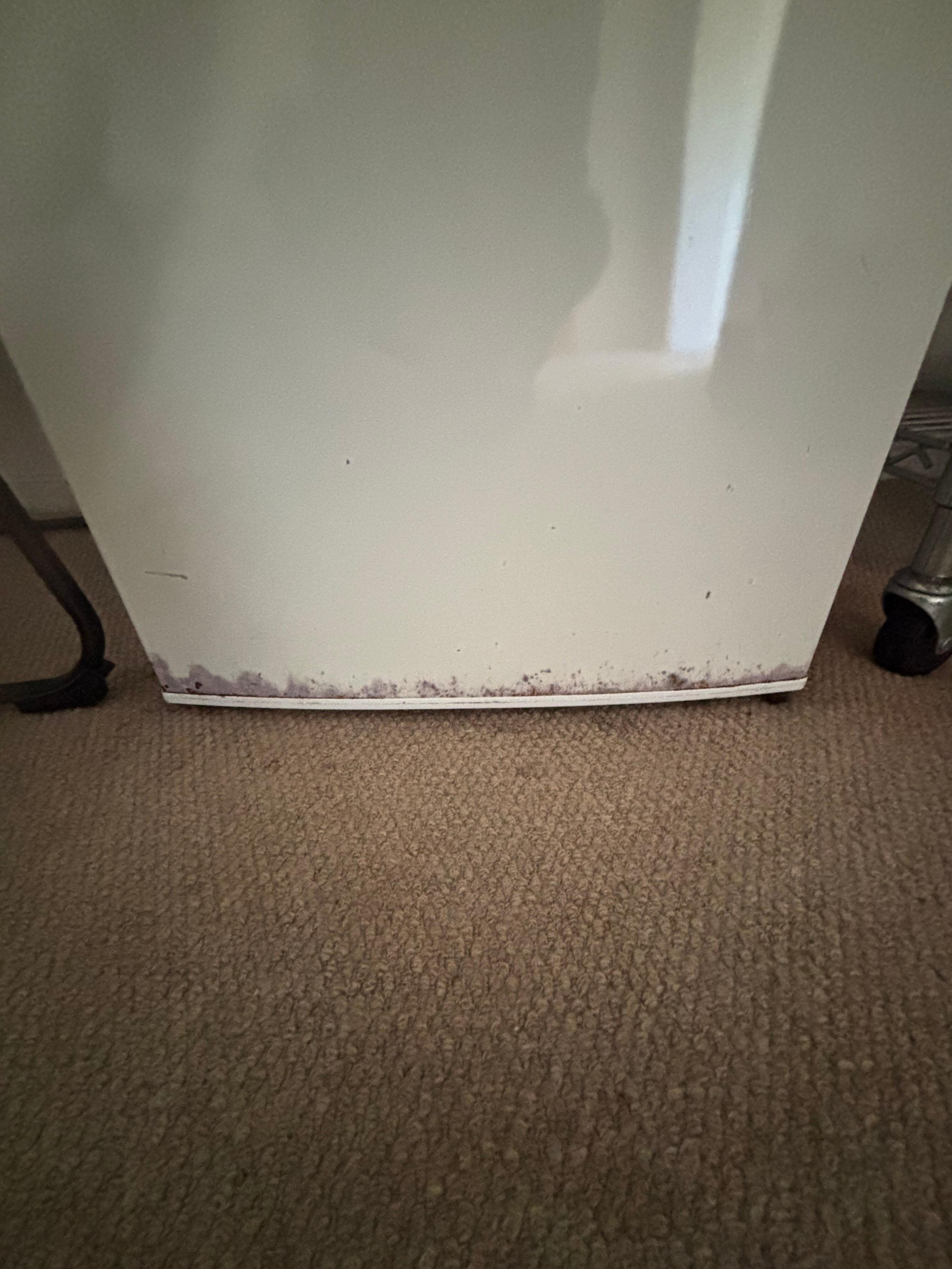 Mould on fridge door.
