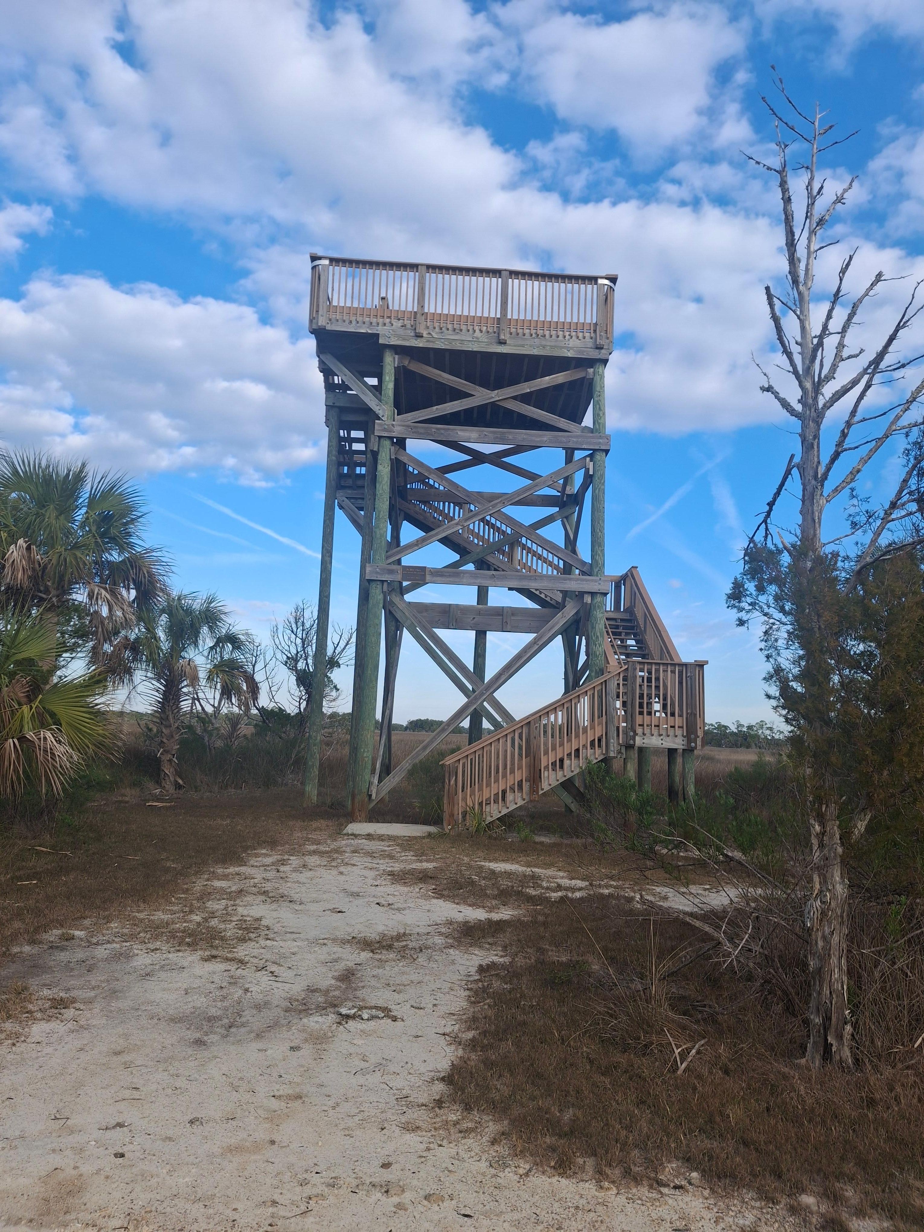 Lookout at Withlacoochee Marsh