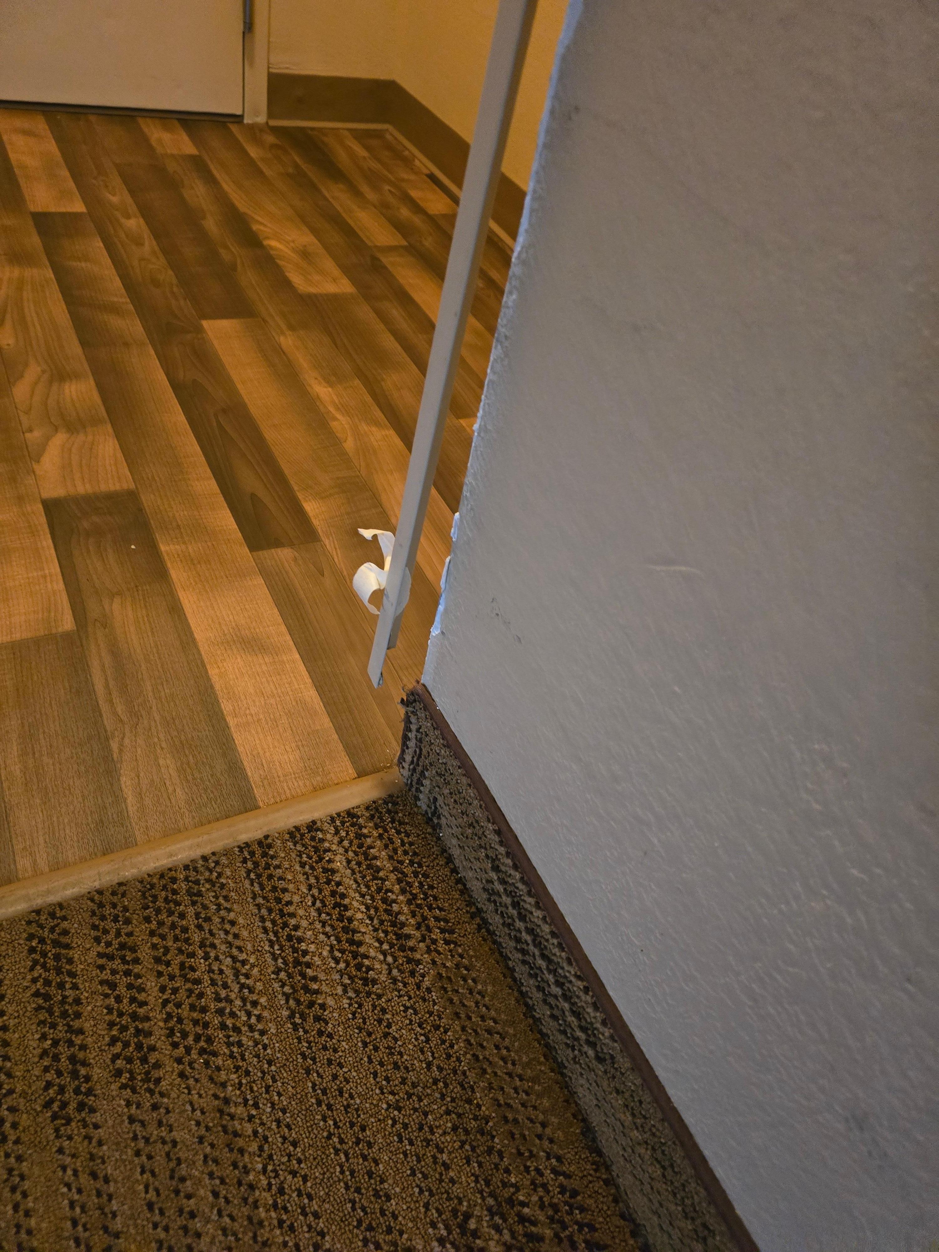 Trim as you first walk into hotel room