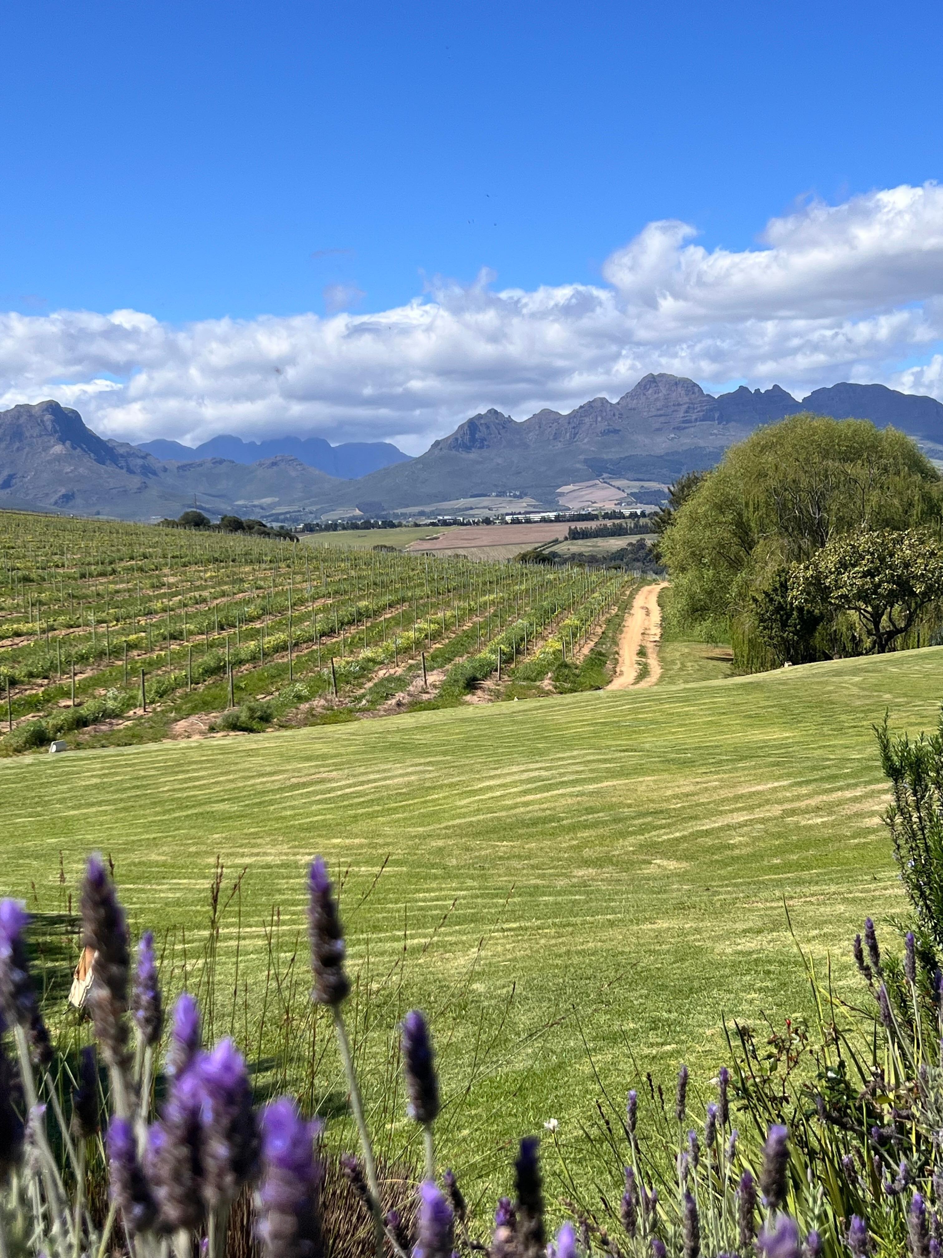 Vista da varanda do quarto 