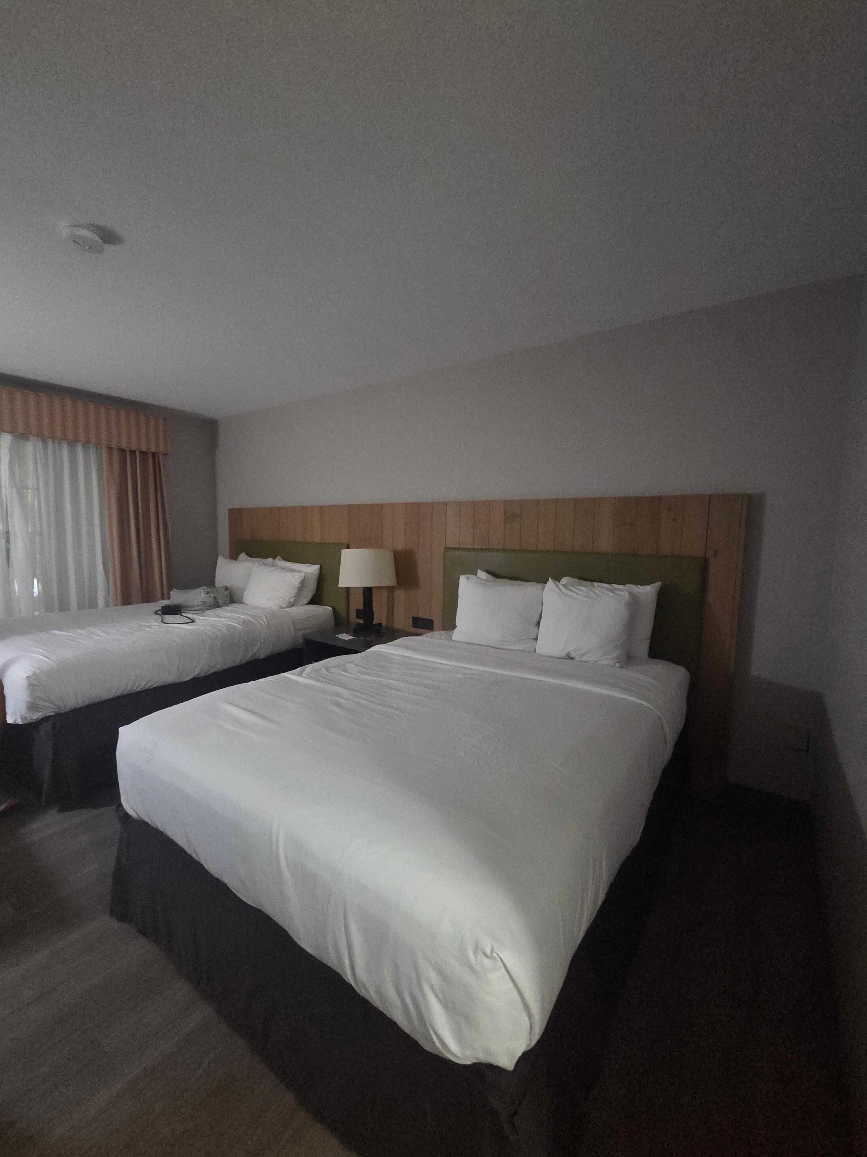 Queen beds 