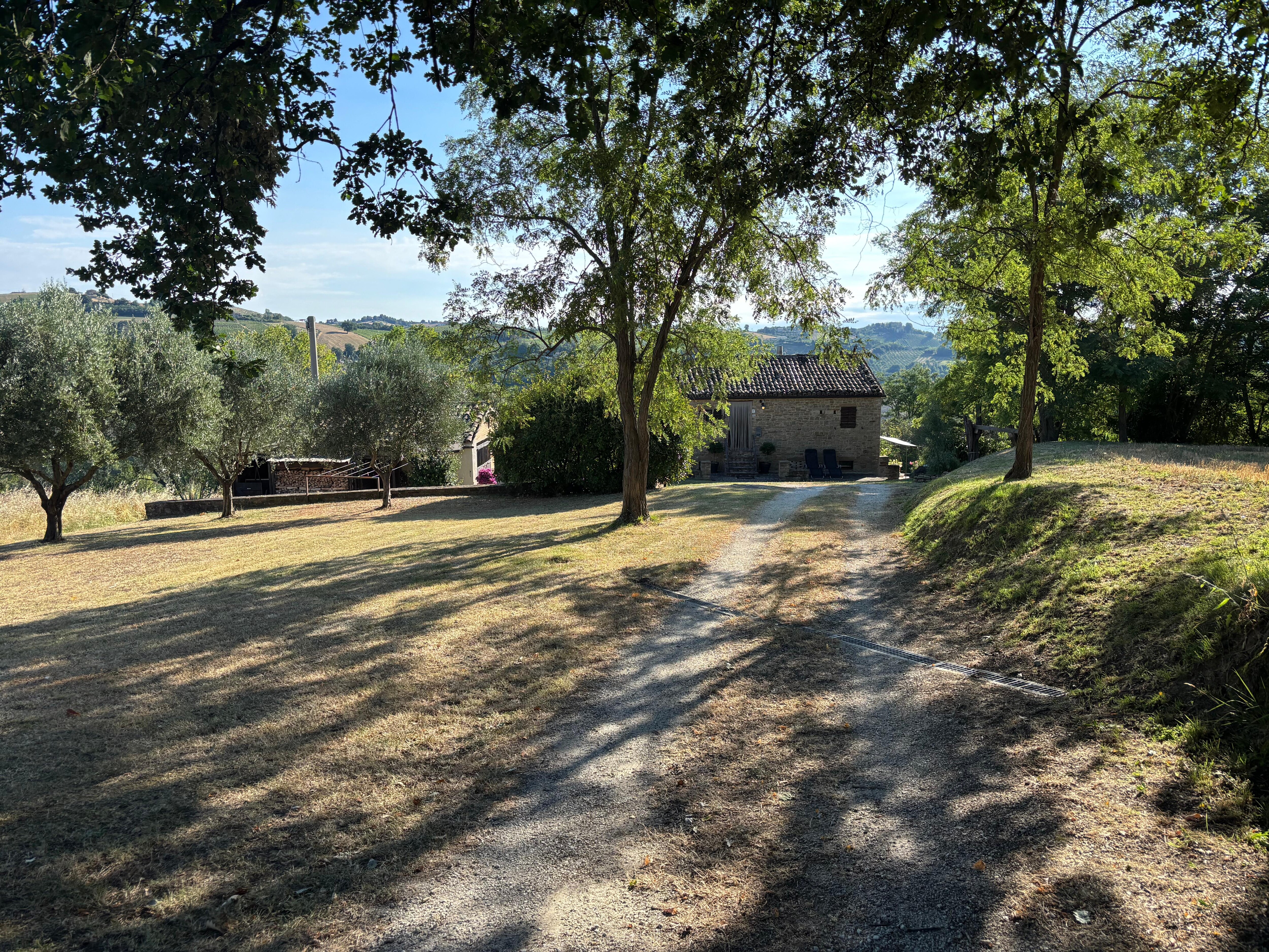 The driving lane towards the house.