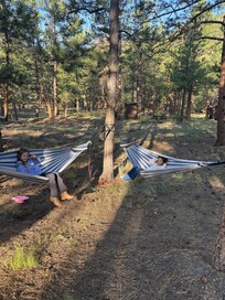 Hammocks on the property