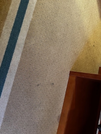 Carpets are dirty and stained