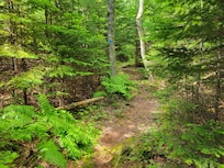 Near by trail. Simon trail short and kid & dig friendly.