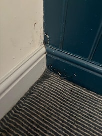 Damp