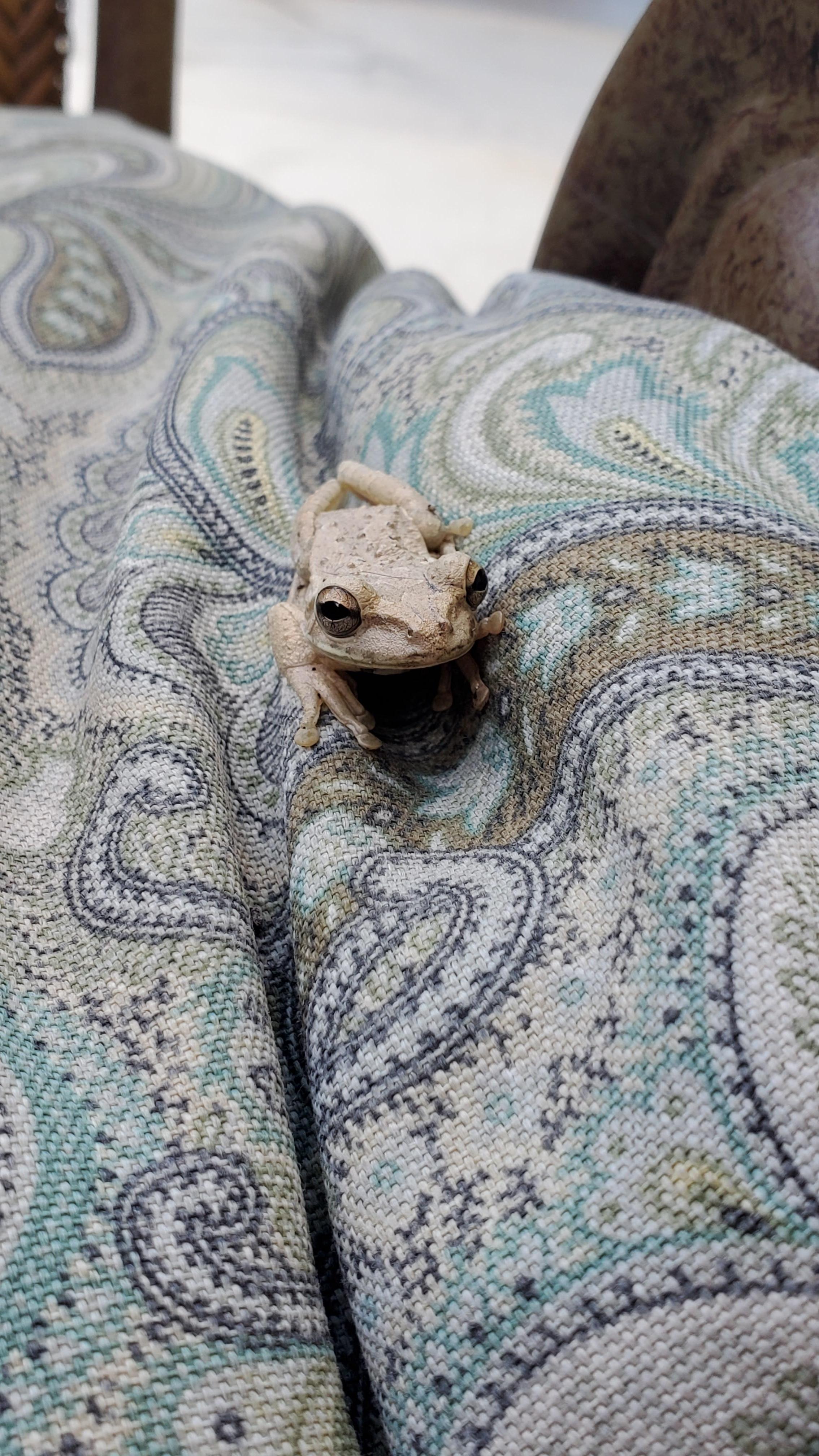 My reading companion 😊