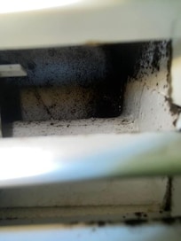 Mold in Ac