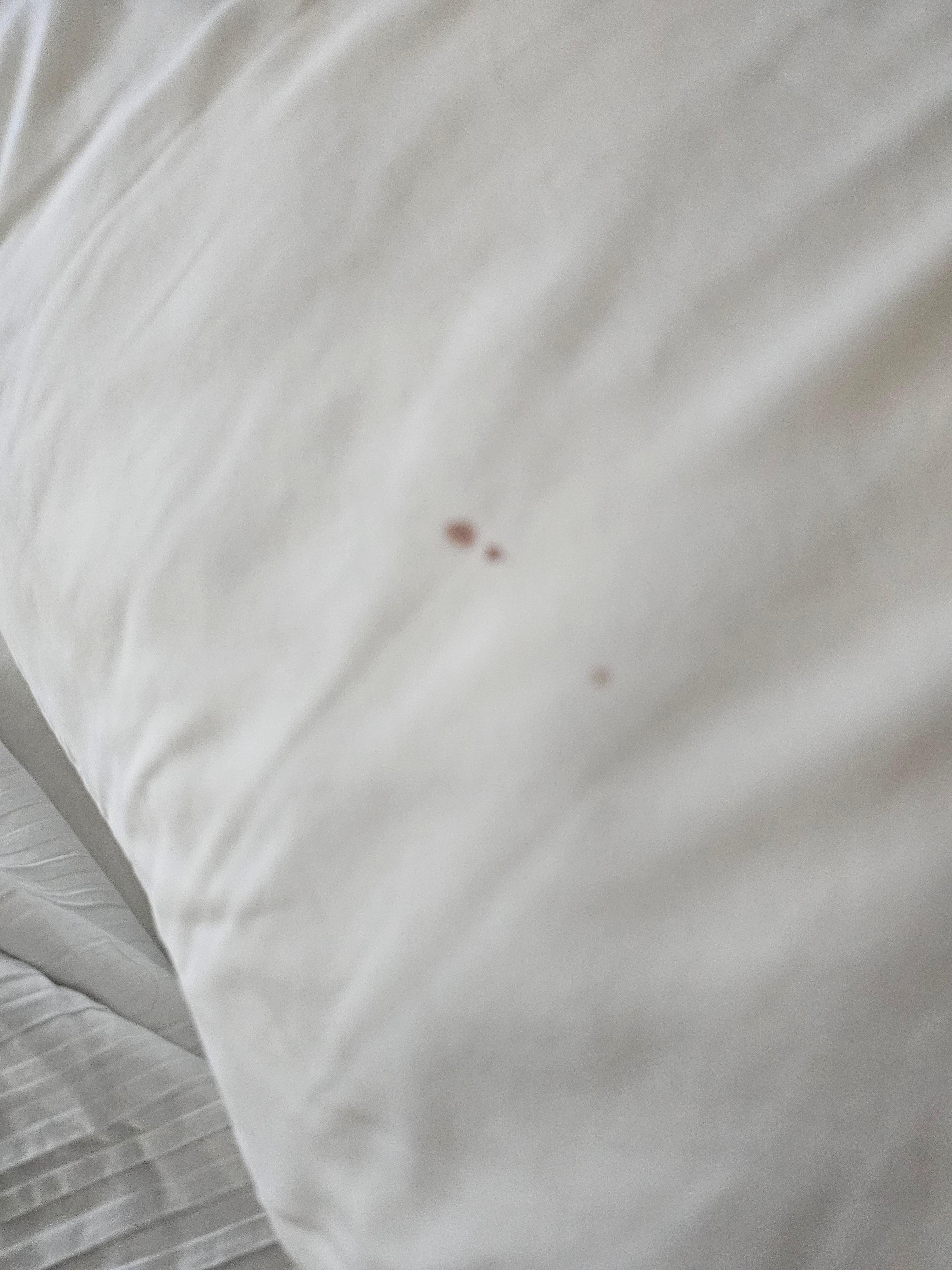 Master bedroom pillow,  blood stains 