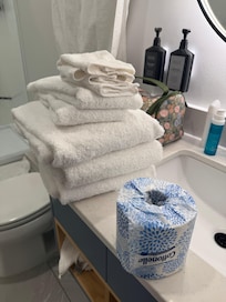 Housekeeping didn’t clean bathroom after 3 night, this is what we came to.